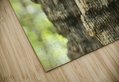 Wavy Bark Jennifer Rivera puzzle