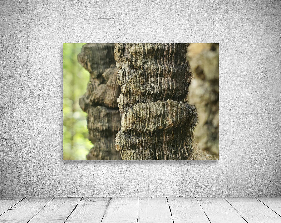 Wavy Bark Wall Preview