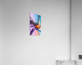 Passion Acrylic Print
