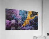 AIRES01 Acrylic Print
