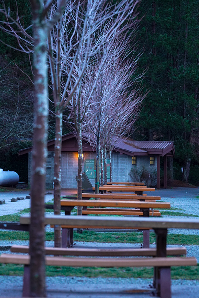 Zen Digital Download