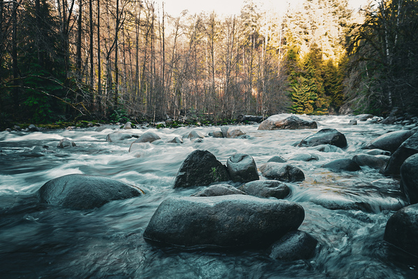 River Digital Download