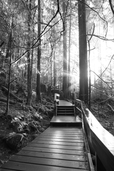 Stairs path Digital Download