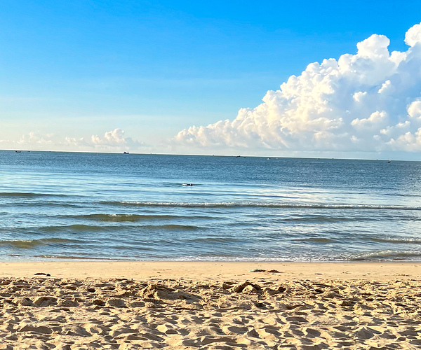 Ocean view Digital Download