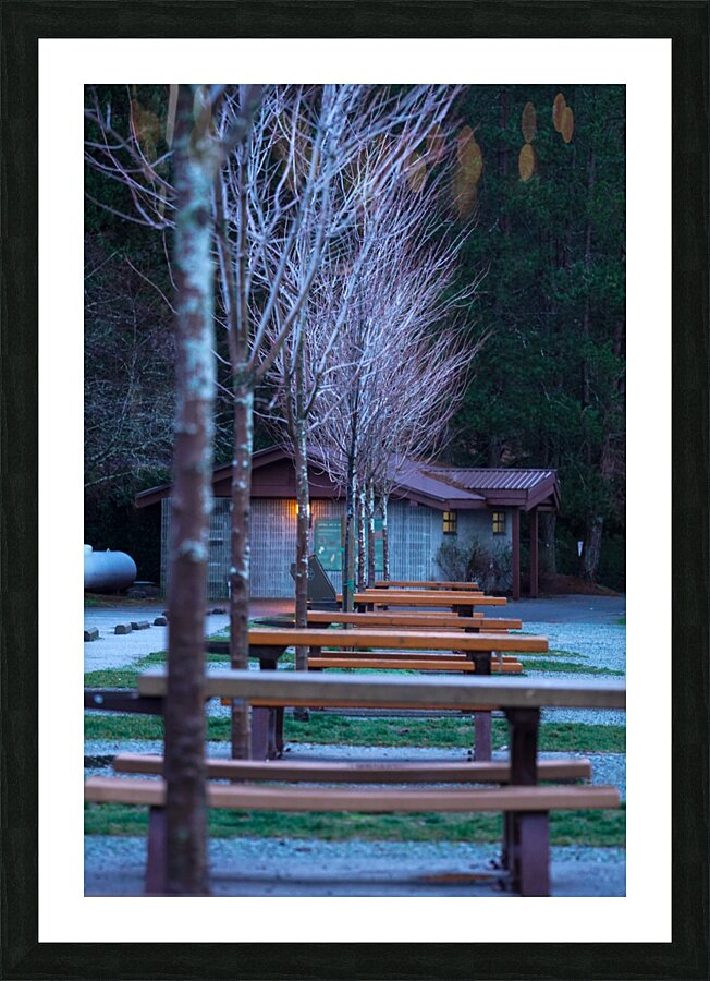 Zen Picture Frame print