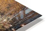 River in Fall  HD Metal print
