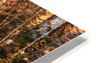 Lynn Valley Park  HD Metal print
