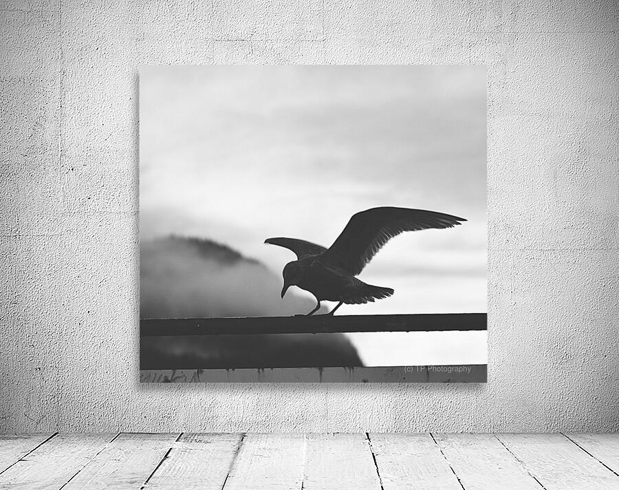 Seagull  Wall Preview