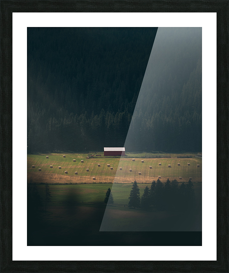 Under the Sunlight Picture Frame print