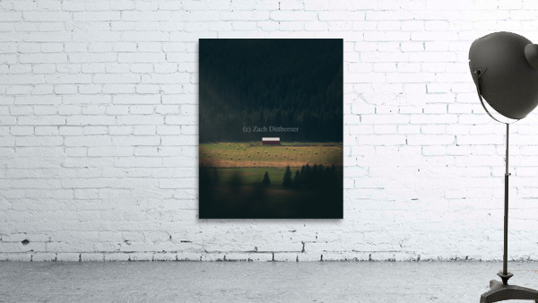 Under the Sunlight Wall Preview