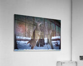 Winter Hunger Sunset Grace Acrylic Print