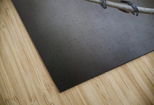 Whispers on a Single Perch StevenShpak puzzle