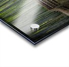 staircase in the bamboo forest of arashiyama  Acrylic print