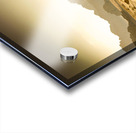 wandering camels background Acrylic print