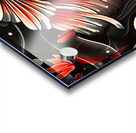 Traditional japanese koi fish illustration Acrylic print