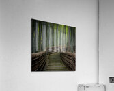 staircase in the bamboo forest of arashiyama  Acrylic Print
