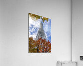 Tokyo Sky Tree  Acrylic Print