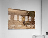 leopard walks in the savannah Acrylic Print