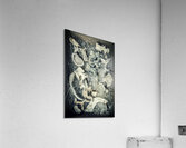 human bone vertebrae in a cardboard box  Acrylic Print