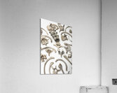bones human remains  Acrylic Print