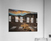 Dead trees on mount etna  Acrylic Print