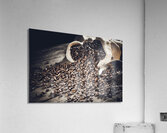 coffee beam Impression acrylique