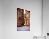 petra canyon view Acrylic Print