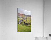 house with green roof  Acrylic Print
