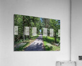 sciury pathway view Acrylic Print