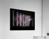 color explosion Acrylic Print