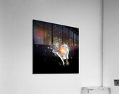 bulb explosion Acrylic Print
