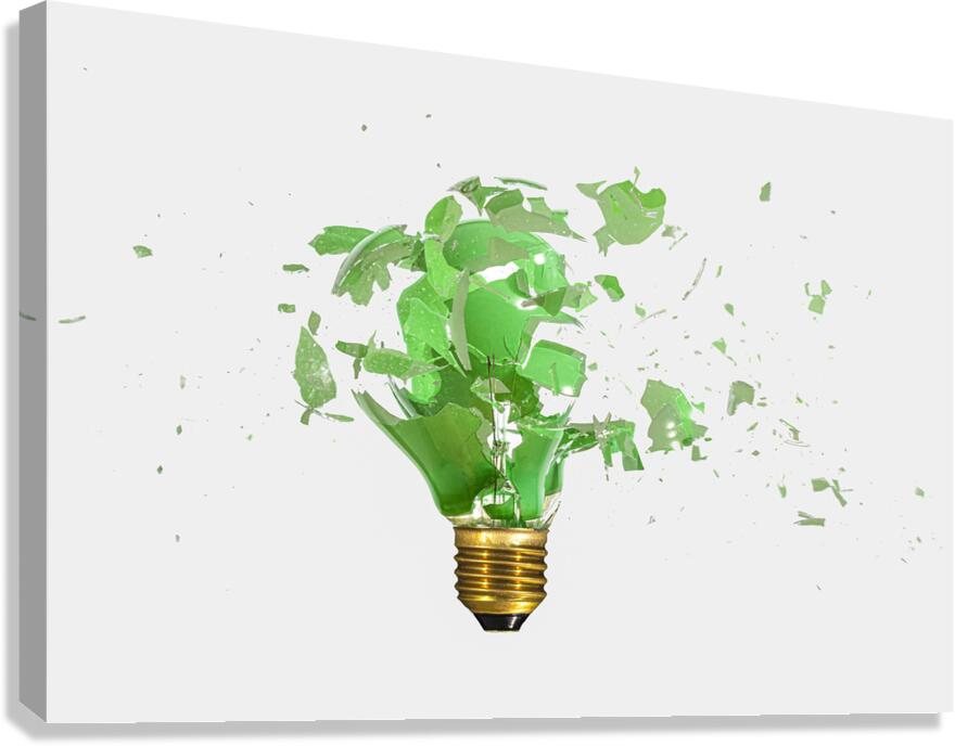 broken green bulb  Canvas Print