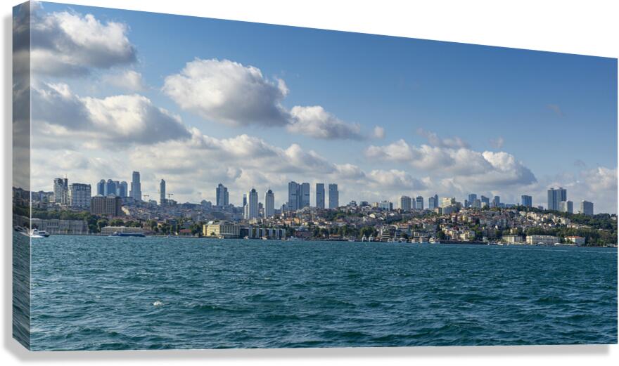 Istanbul city landscape Canvas Print