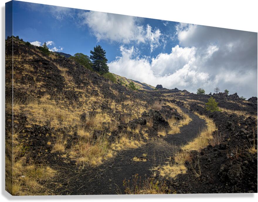 nature trail on Mount Etna.  Canvas Print