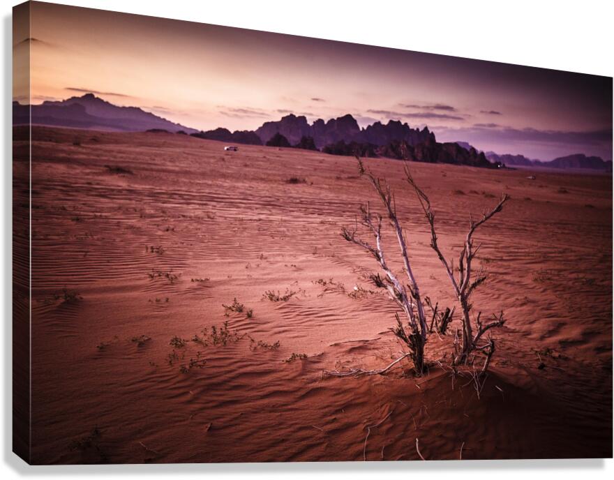 wadi rum at sunset Canvas Print