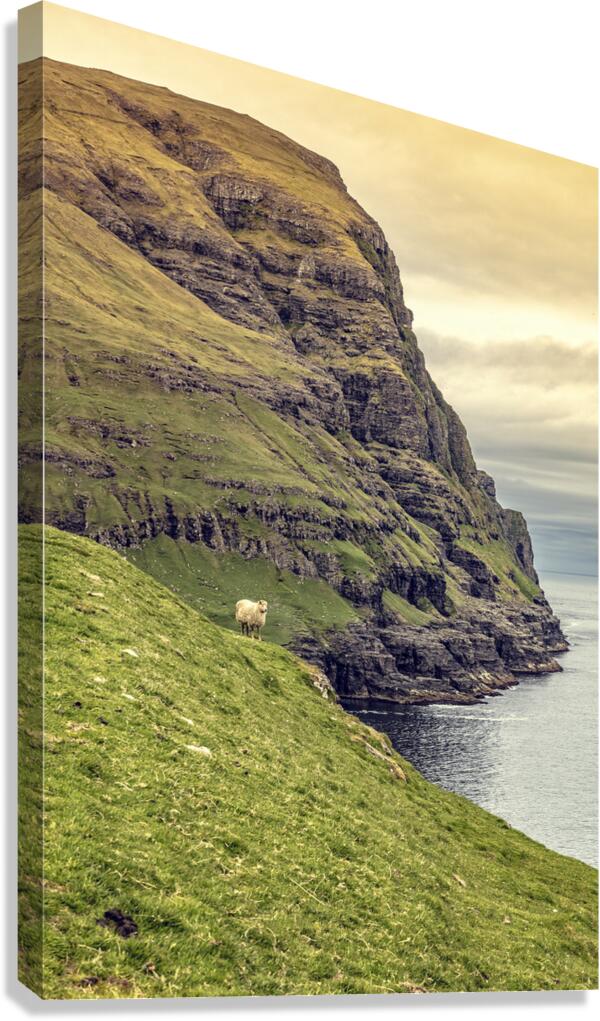 cliff view in faroe  Canvas Print