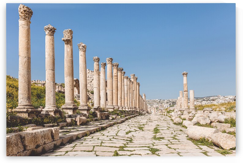 ancient citadel of Amman Jordan. by Gualtiero Boffi