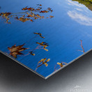 background of Kinkakuji temple  Metal print