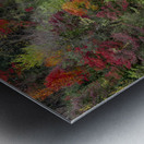 Top view of the kiyomizu dera temple spring Metal print