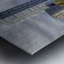 lake in Ueno Park in Tokyo Metal print