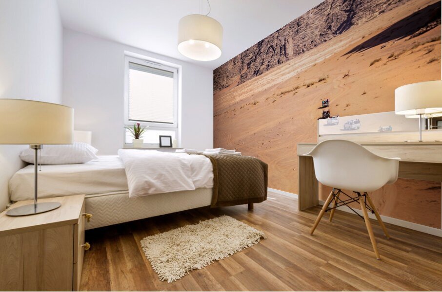 view of the wadi rum desert  Mural print