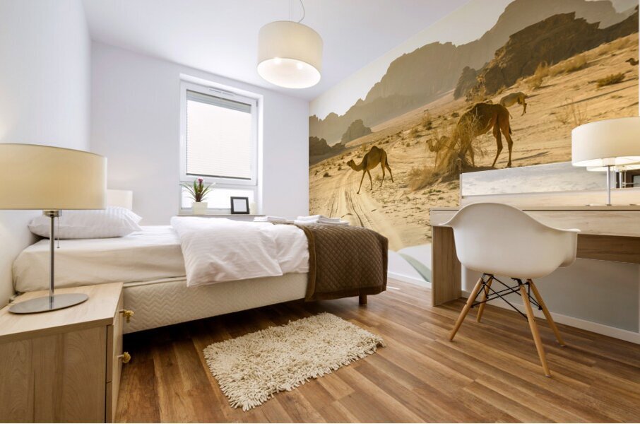 wandering camels background Mural print