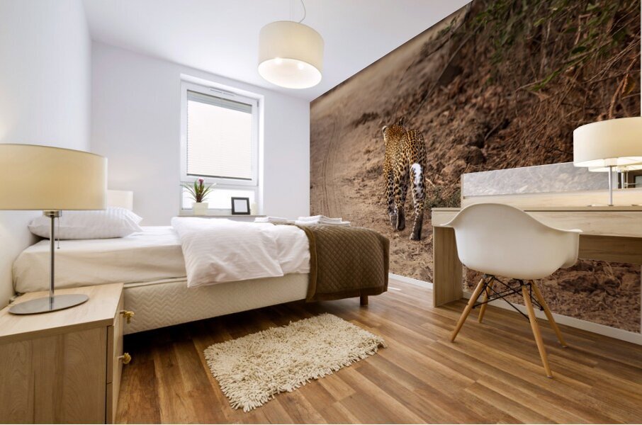leopard walks in the savannah Mural print
