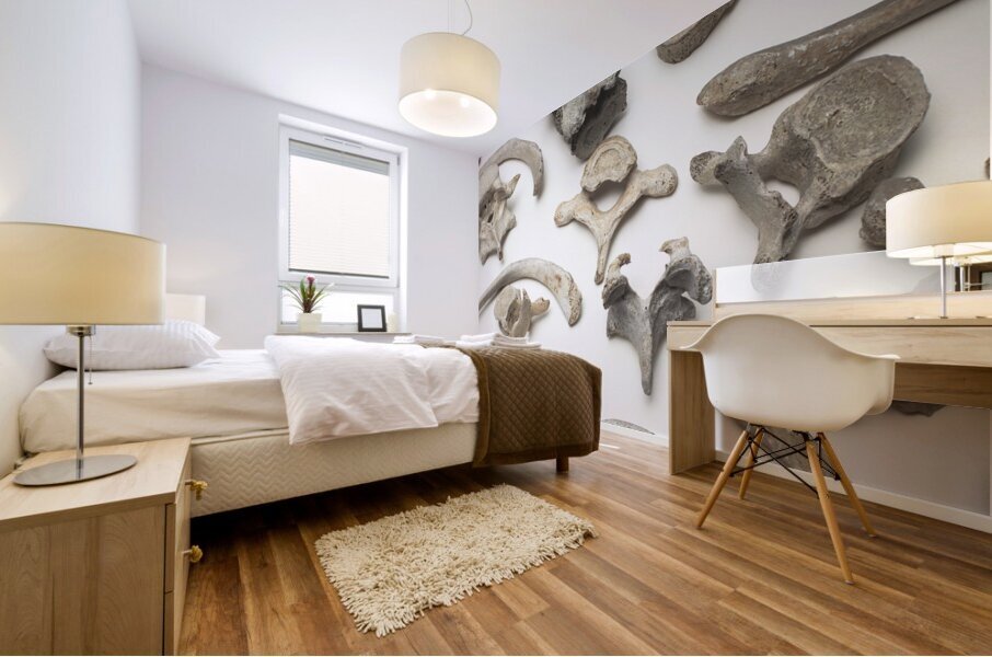 bones human remains  Mural print