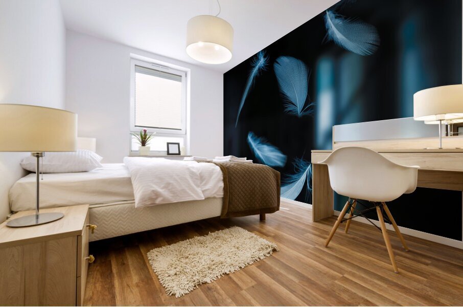 feathers fall background Mural print
