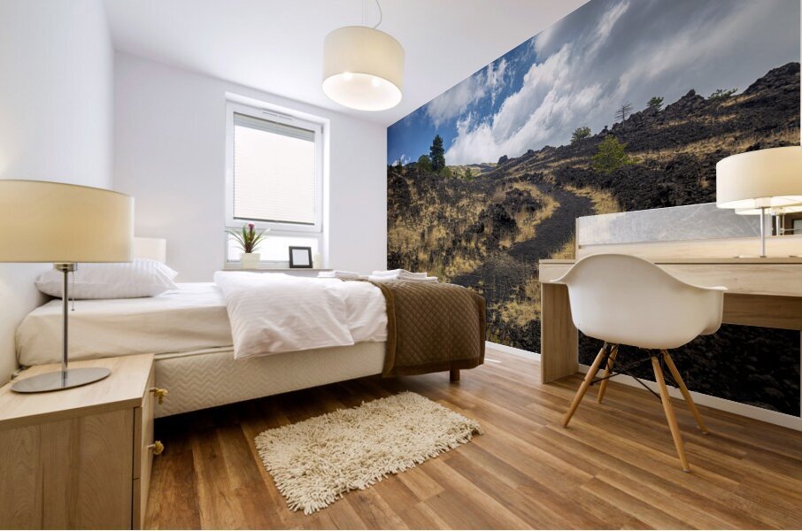nature trail on Mount Etna.  Mural print