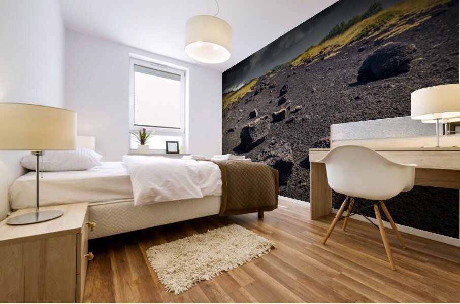 Trail on Mount Etna  Mural print