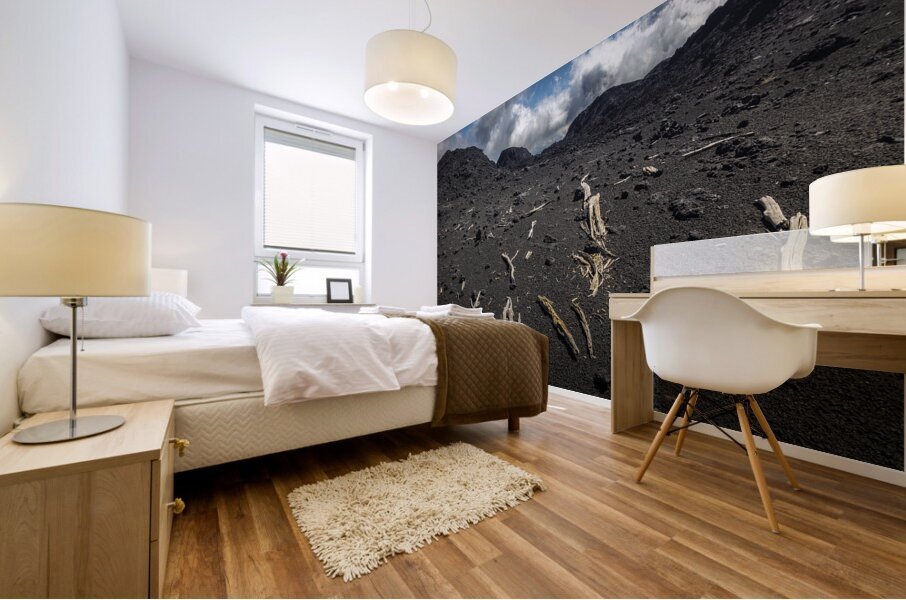 etna in Sicily Mural print