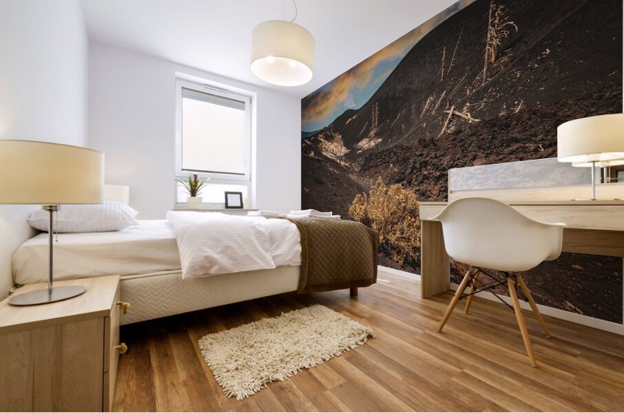 Dead trees on mount etna  Mural print