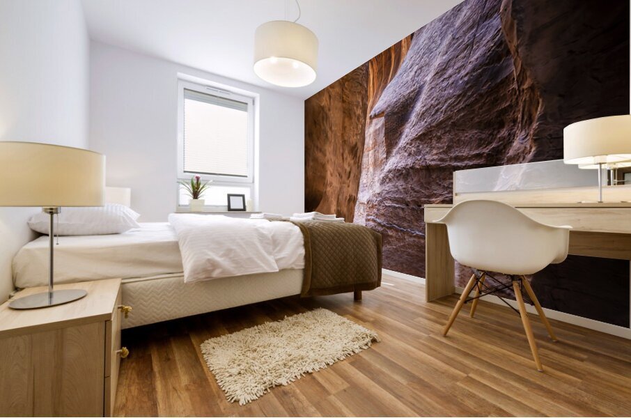 petra canyon experience Mural print